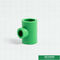 صب تركيبات الأنابيب طاعون المجترات الصغيرة اللون الأخضر ، ISO9001 CE الموافقة على Ppr تقليل الإنطلاق