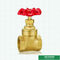 العلامة التجارية المخصصة النحاس بوابة صمام الحديد الزهر مقبض مزدوج أنثى أثقل نوع بوابة صمام