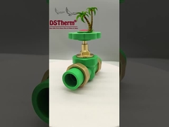 PPR ثلاثية الأبعاد صمام كرة الاتحاد المزدوج المعرضة تركيب حجم مخصص