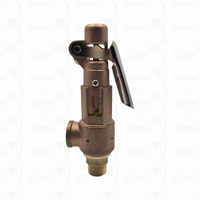 صمام أمان نحاسي 1/2"-2" نظام خط الأنابيب جهاز حماية من الضغط الزائد شعار مخصص